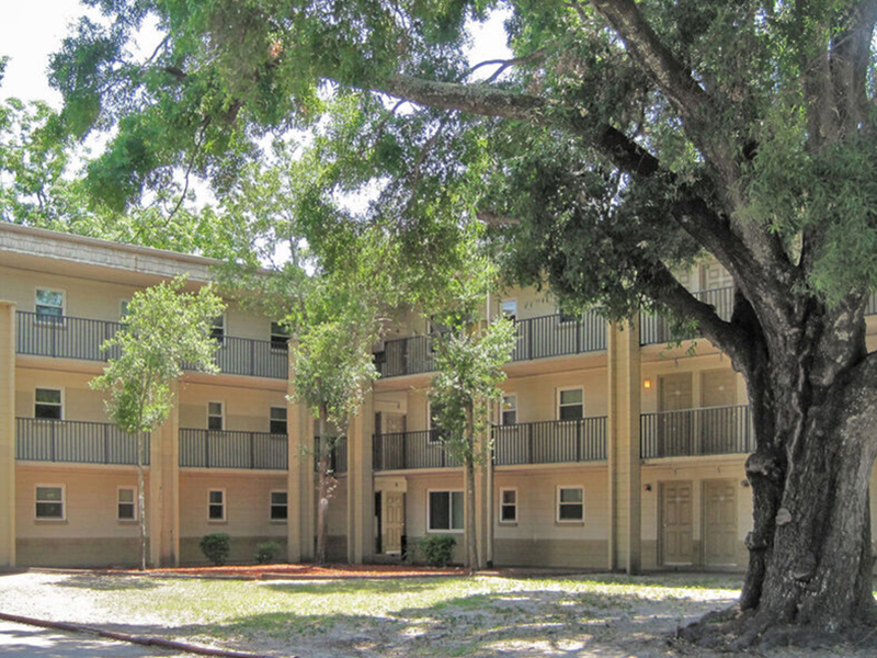 Central Court Apartments in Tampa, FL