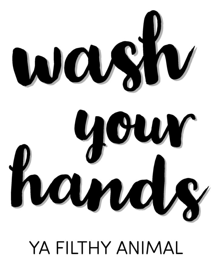 wash your hands