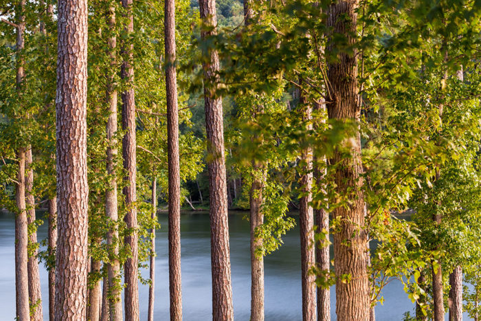Montgomery, Alabama