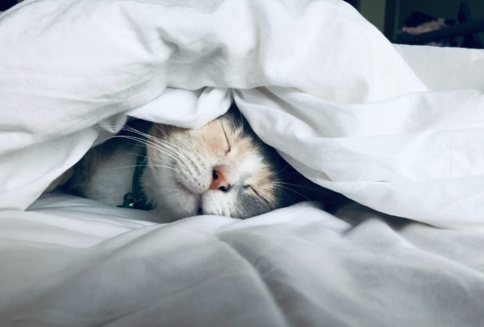 Peaceful and restful sleep is important