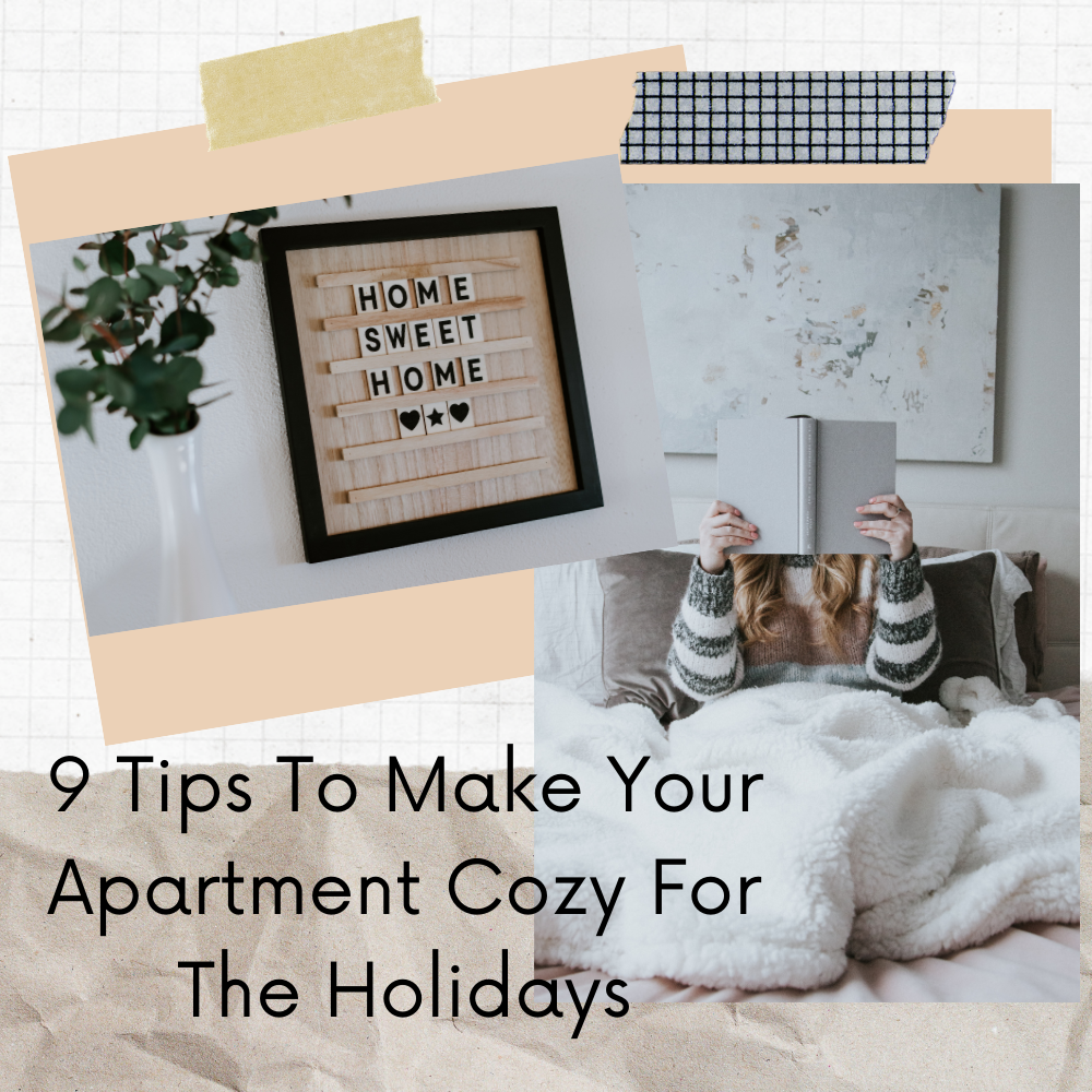 make your apartment cozy for holidays