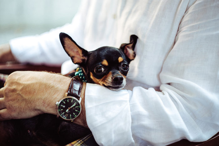 Check for pet-friendly amenities in your next apartment.