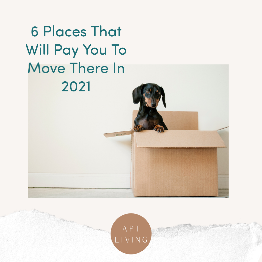 places that will pay you to move
