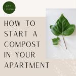 start a compost in apartment