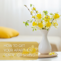 HOW TO GET YOUR APARTMENT READY FOR SPRING