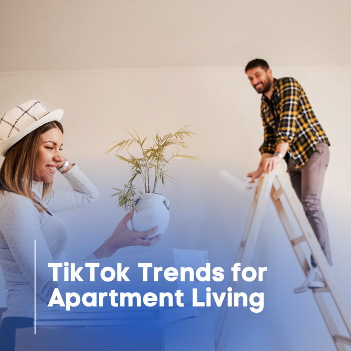 The Best Apartment Aesthetic Ideas | Market Apartments