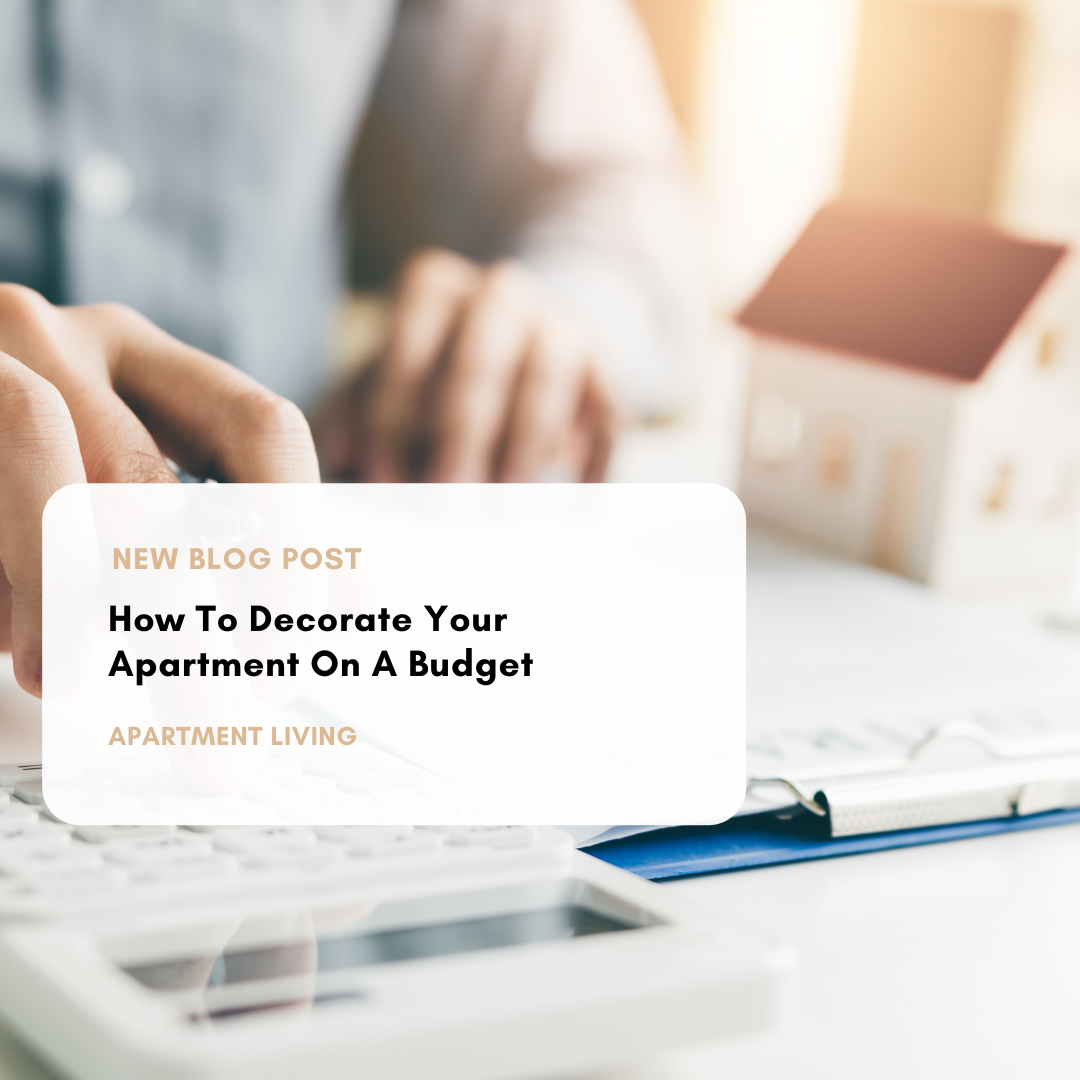 how to decorate apartment on budget