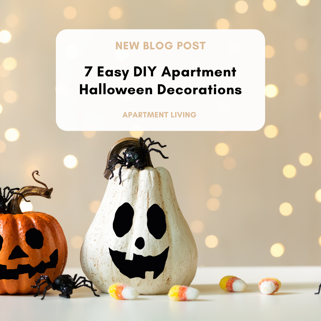 DIY apartment Halloween decorations