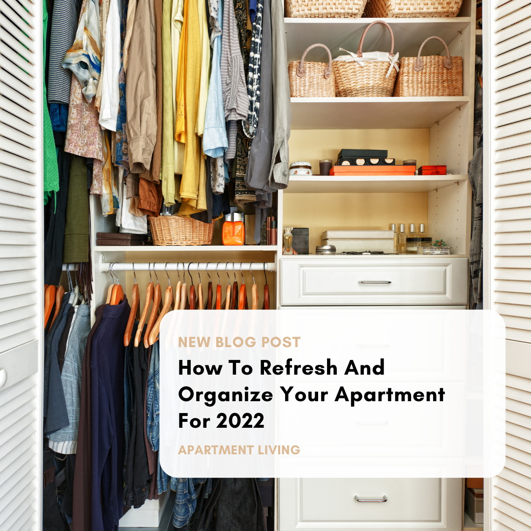 refresh and organize apartment