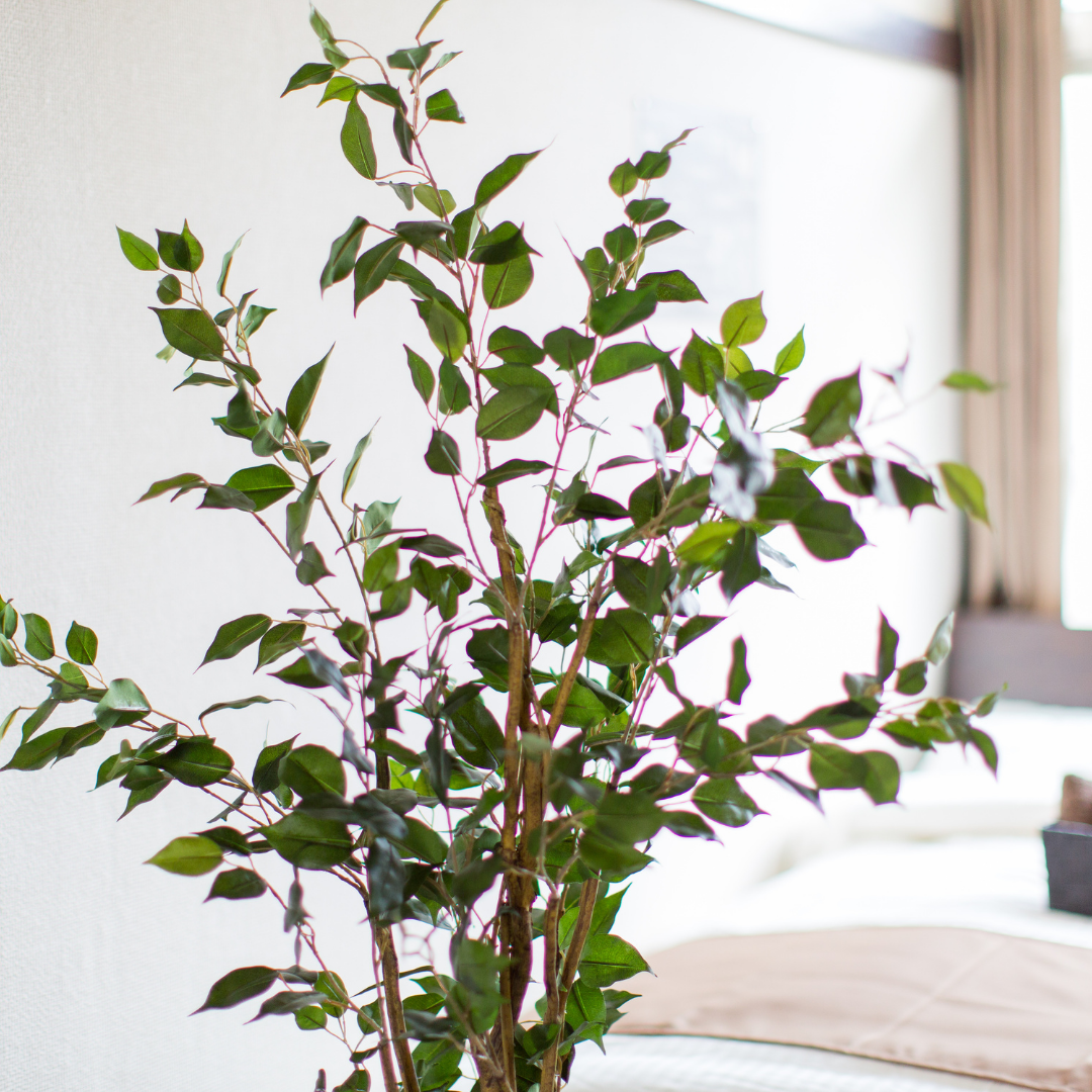 The 10 Biggest Apartment Design Trends In 2022 Apartment Living