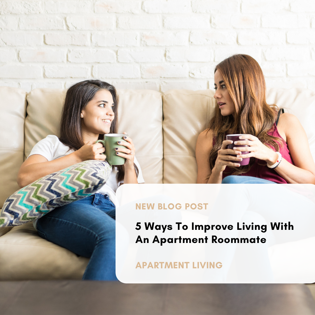 improve living with a roommate