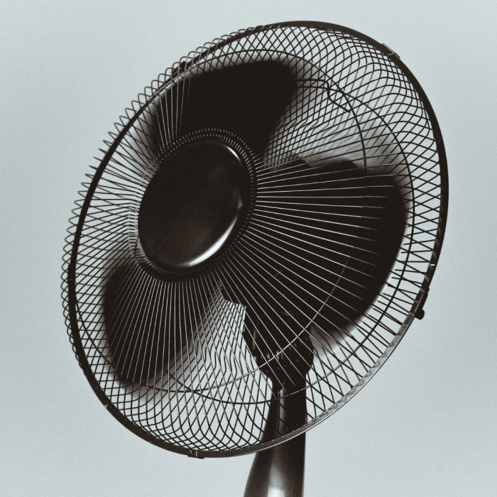 fan