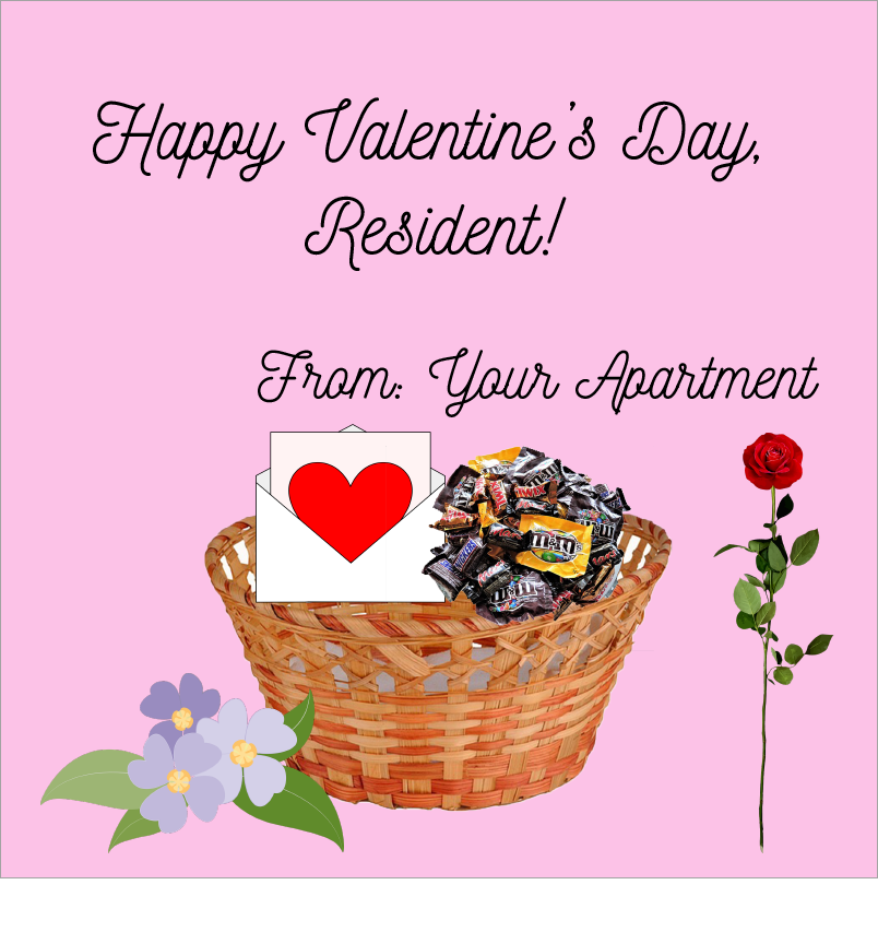 Apartment Valentines Day!