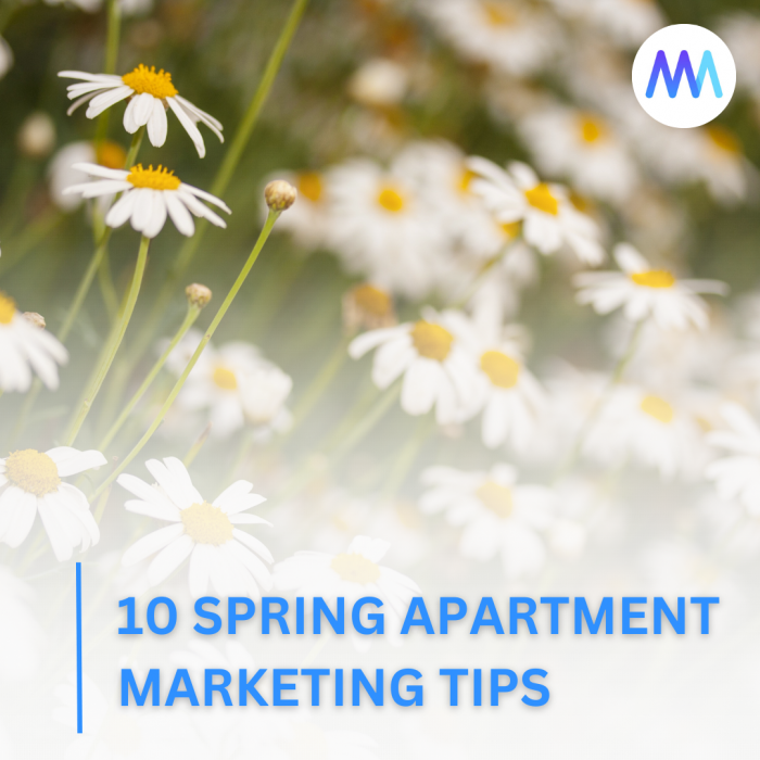 Image showcasing Innovative Apartment Marketing Ideas For Spring