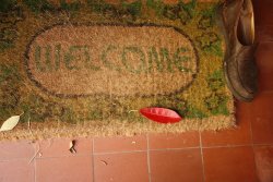 welcome mat