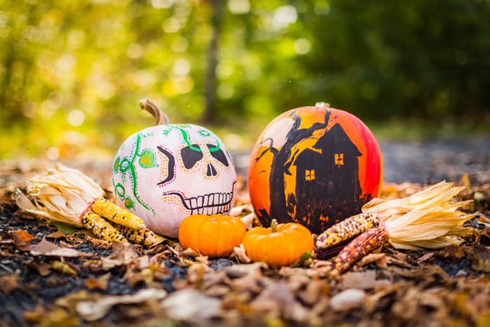 Painted Pumpkins for Halloween resident events. 