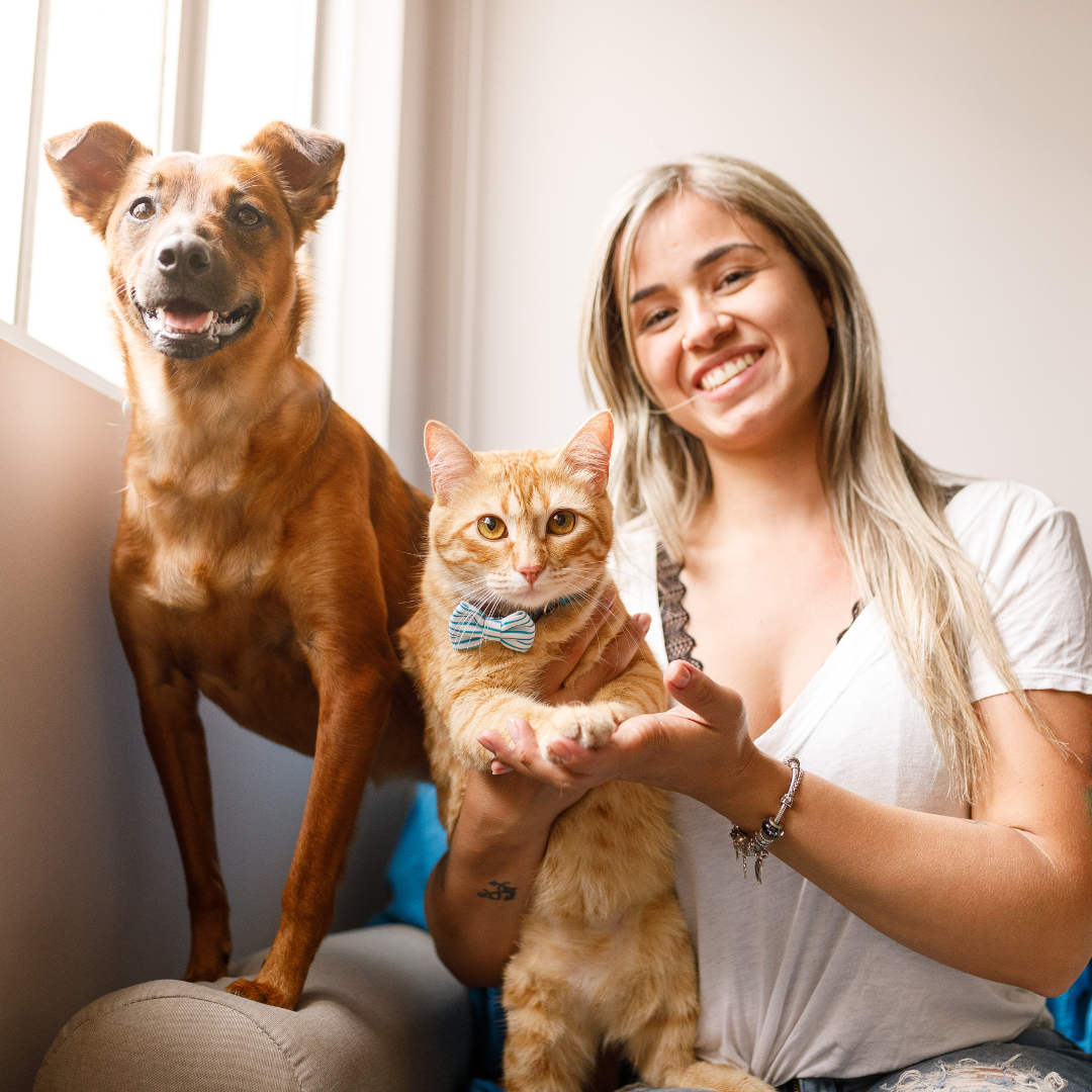Image showcasing How To Advertise A Pet-Friendly Apartment | Market Apartments