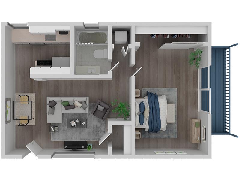 1 Bedroom 1 Bath Penthouse