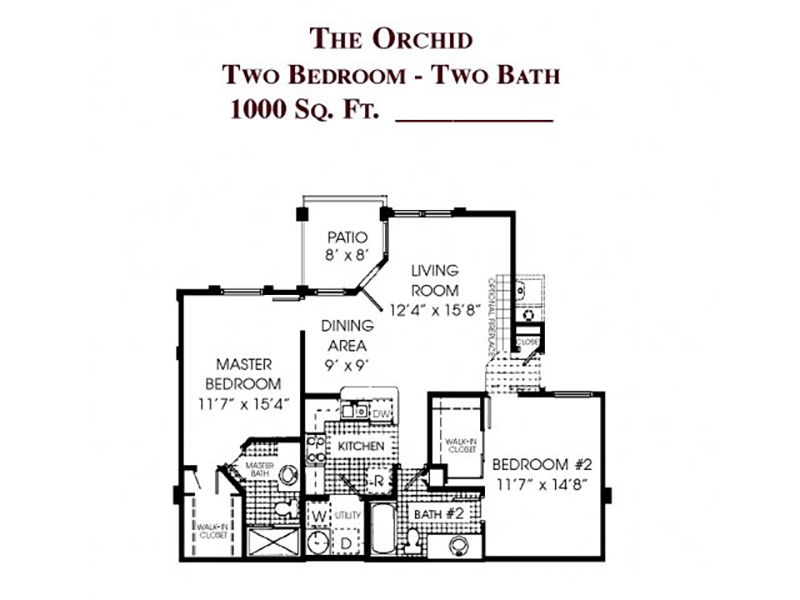 The Orchid