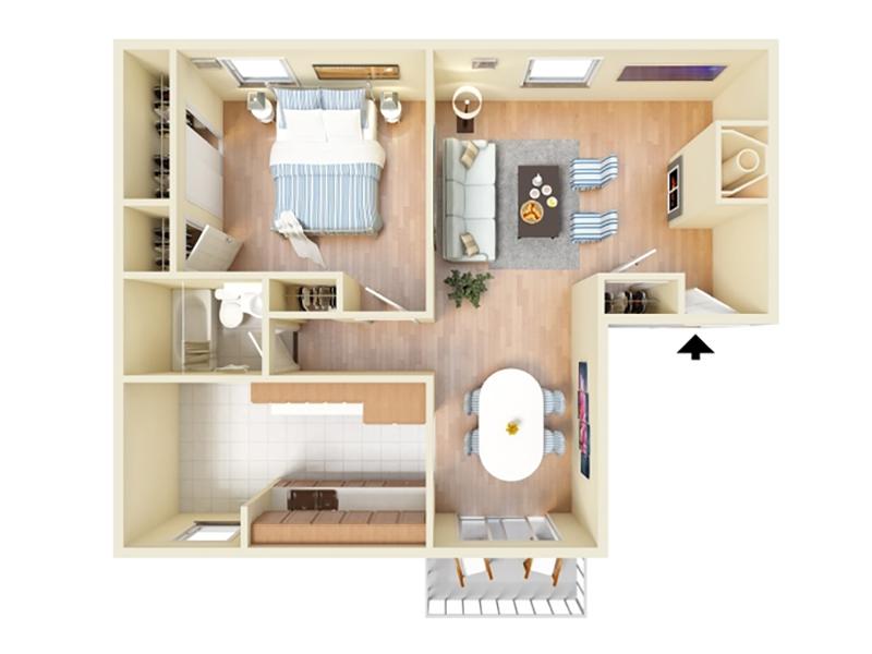 1bd 1ba floorplan at Forest Cove