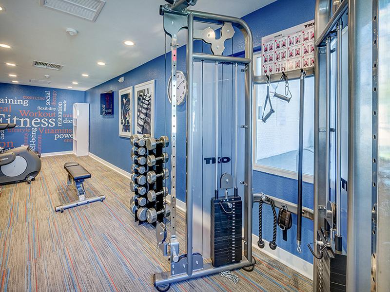Gym | The Harrison