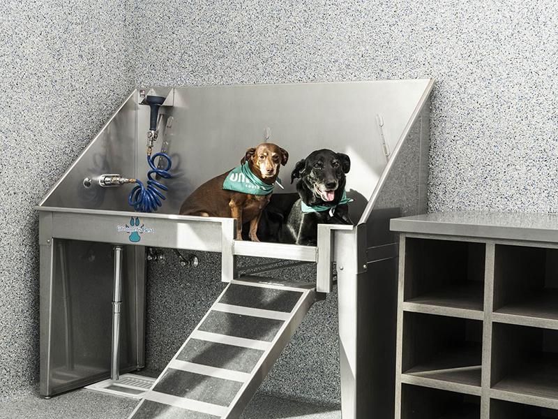 Pet Wash Station | Union South Bay Carson Apartments For Rent
