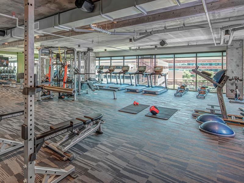 The Local Apartments - Arizona | Tempe