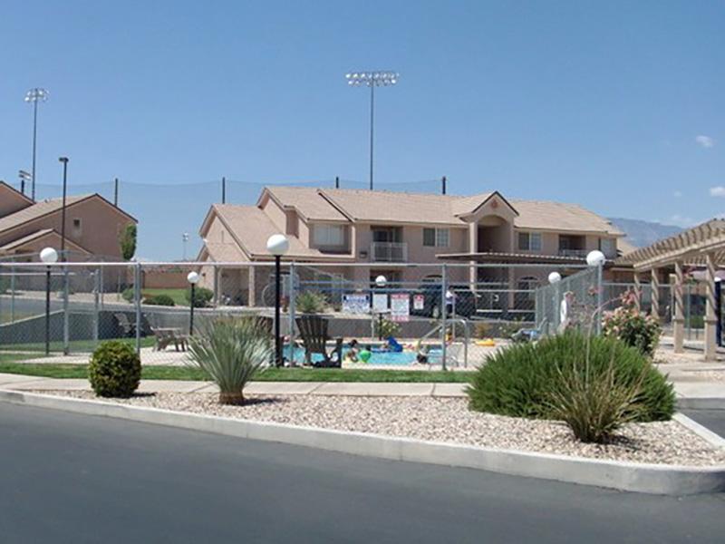 Swimming Pool | Desert Rose