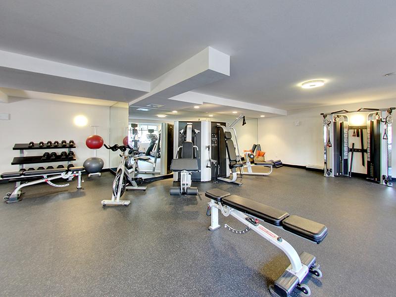 Gym | Panomar Apartments in Alameda, CA