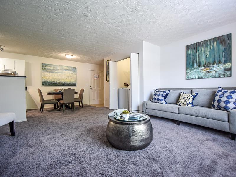 Living Room | Enclave at Albany Park