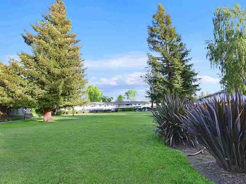 Park-Like Setting | | Camden Village Apartments