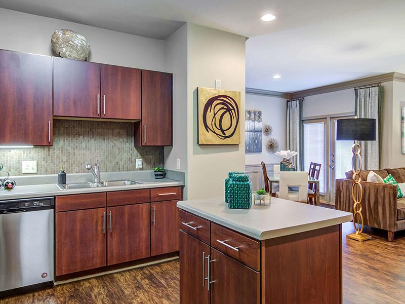 The modern kitchen has an island and stainless steel appliances at Eagle's Brooke Apartments in Locust Grove.