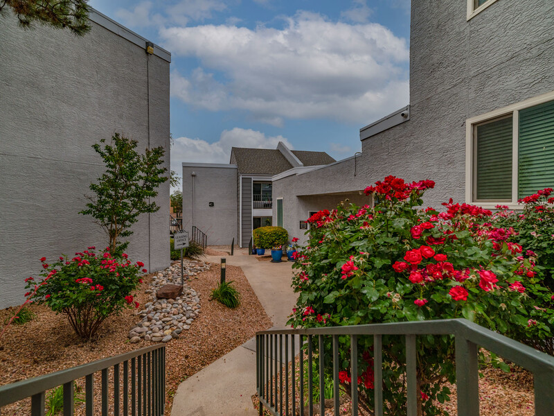 Beautiful Walking Paths | Villa Serena Apartments in Albuquerque, NM