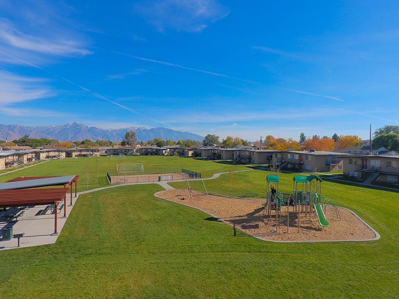 Spacious Fields | Pet Friendly Apartments