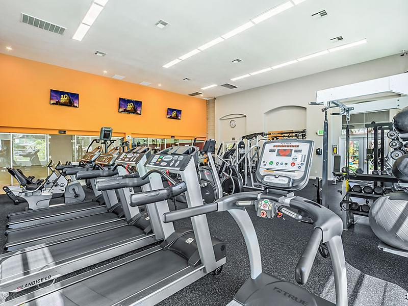 Gym | The Avondale Apartments