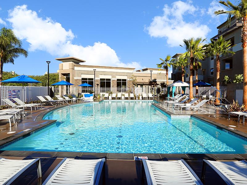 Swimming Pool | Tempo at Riverpark Apartments