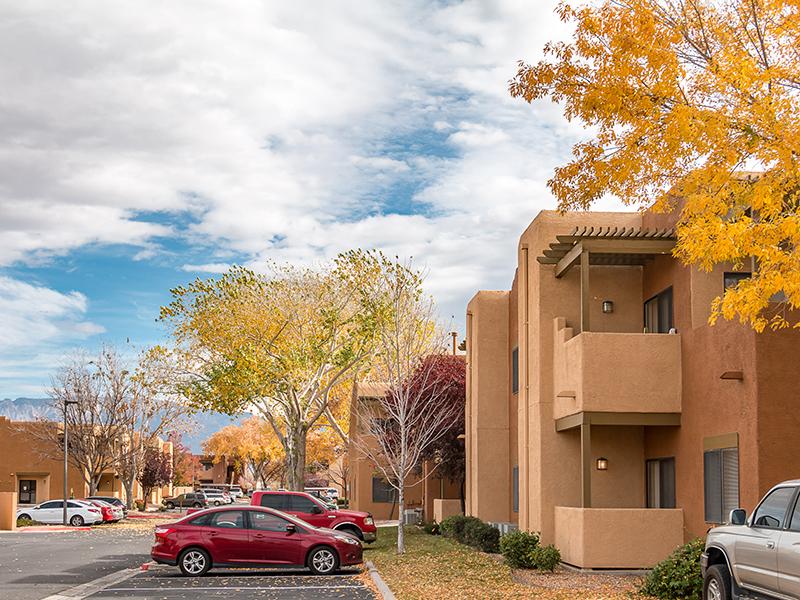 San Miguel Del Bosque Apartments in Albuquerque, NM 87120 Market Apartments