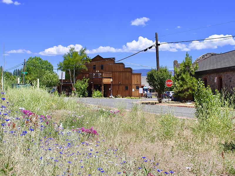 Coburn Crossing Neighborhood in Truckee
