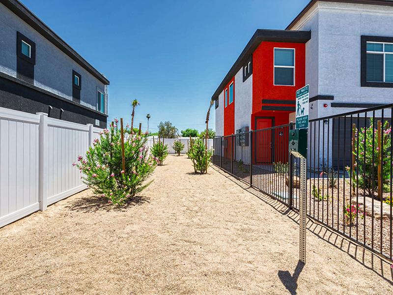 Dog Run | Ara Residences in Phoenix, AZ