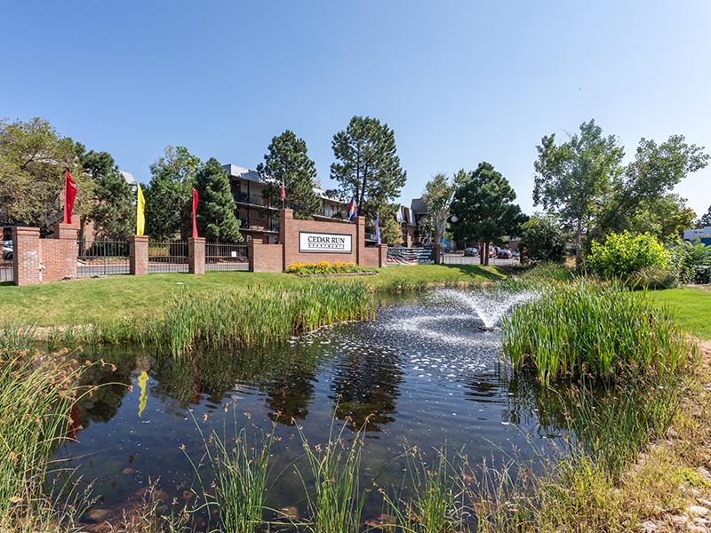 Front Pond | Cedar Run Apartments