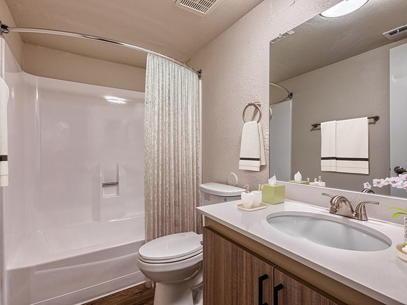 2x2 Bathroom | Park Paloma Apartments
