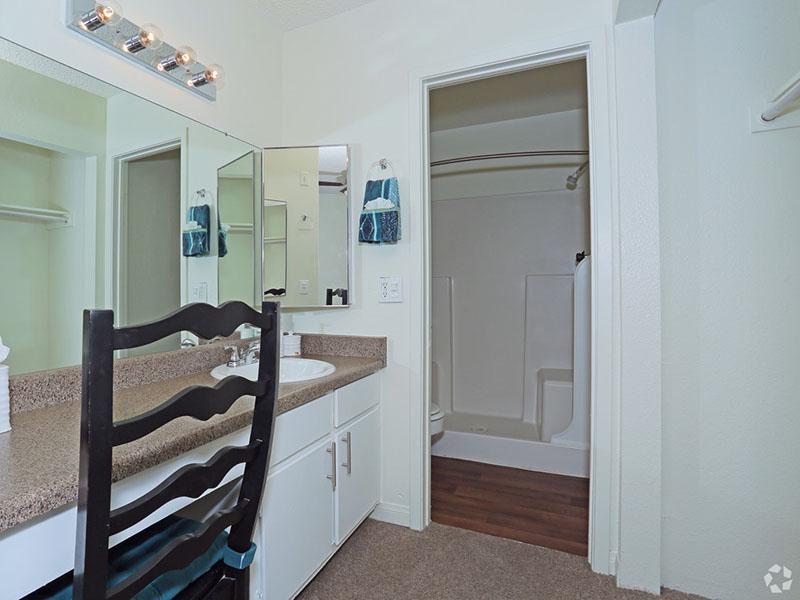 Master Bathroom  | Desert Ridge Apartments