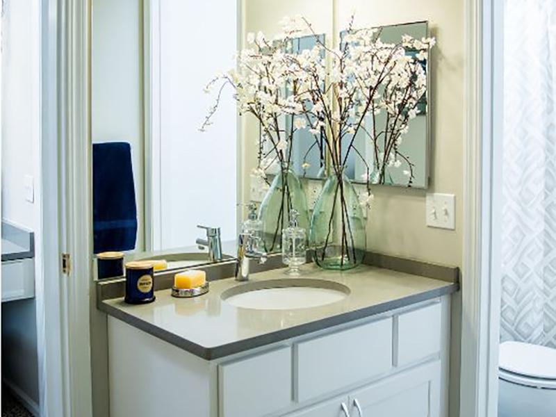 Bathroom | The Arbors at Brookdale Apartments in Naperville,