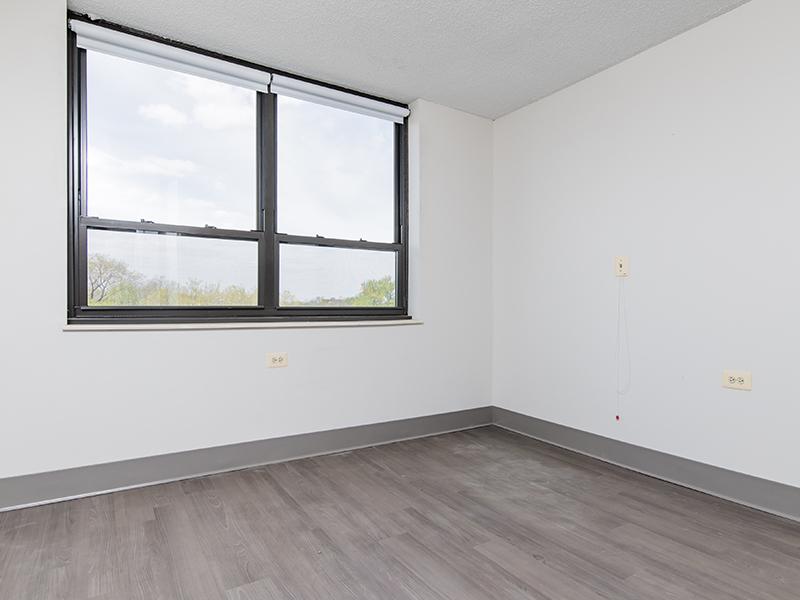 Abundant Natural Light | Walsh Park