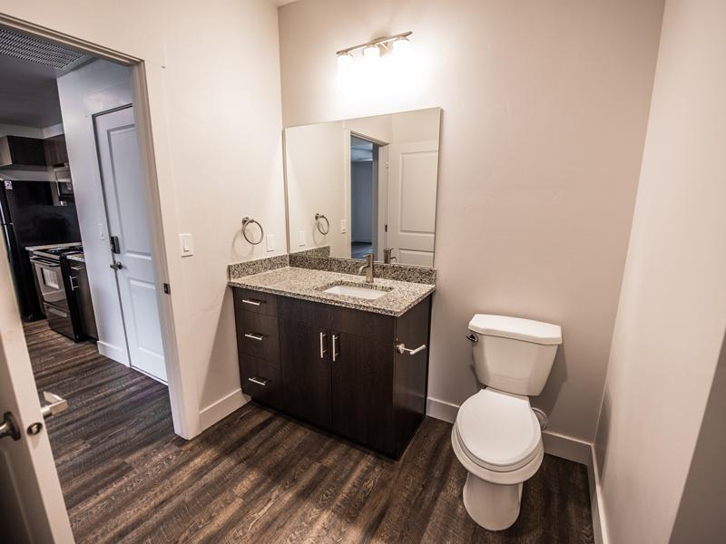 Bathroom | Joule Plaza
