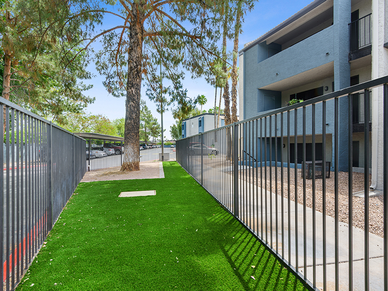 Pet Area | Portola East Mesa