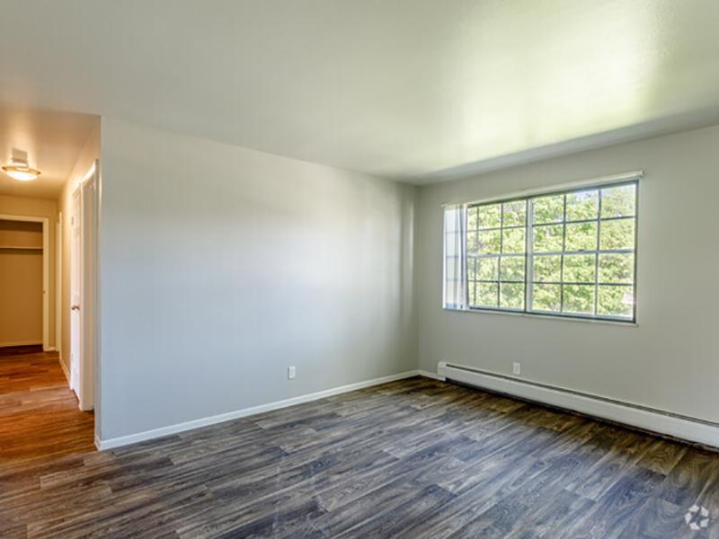 Abundant Natural Light | Franklin Flats