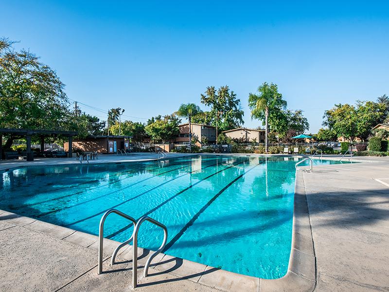 Swimming Pool | The Eleven Hundred Apartments in Sacramento