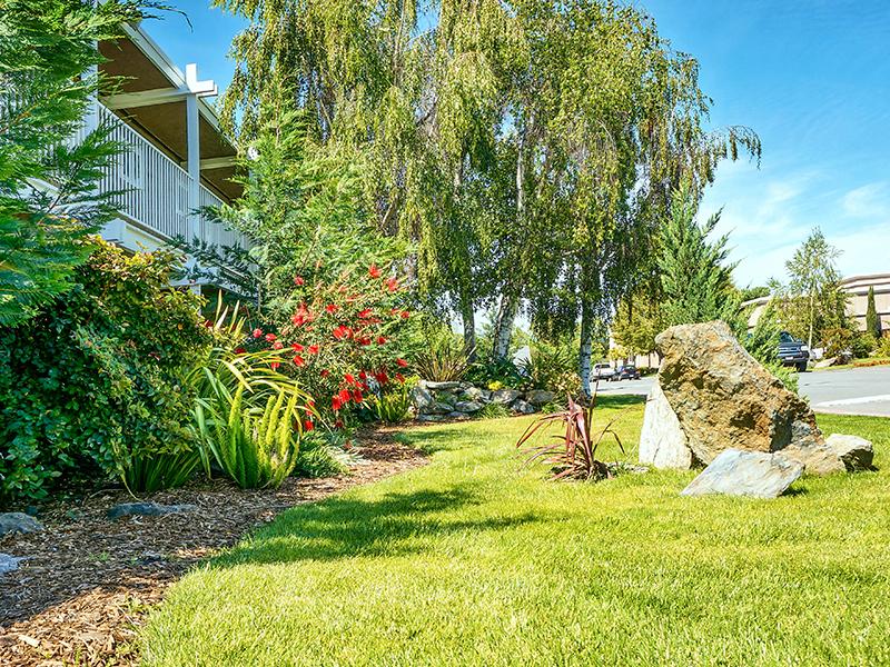 Exterior Landscape - Pleasant Hill California