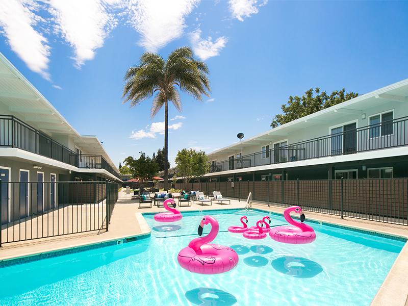 Central Pool | Aloha Apartments